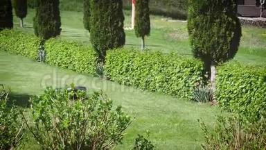 豪华绿色花园，配备静音自动割草机